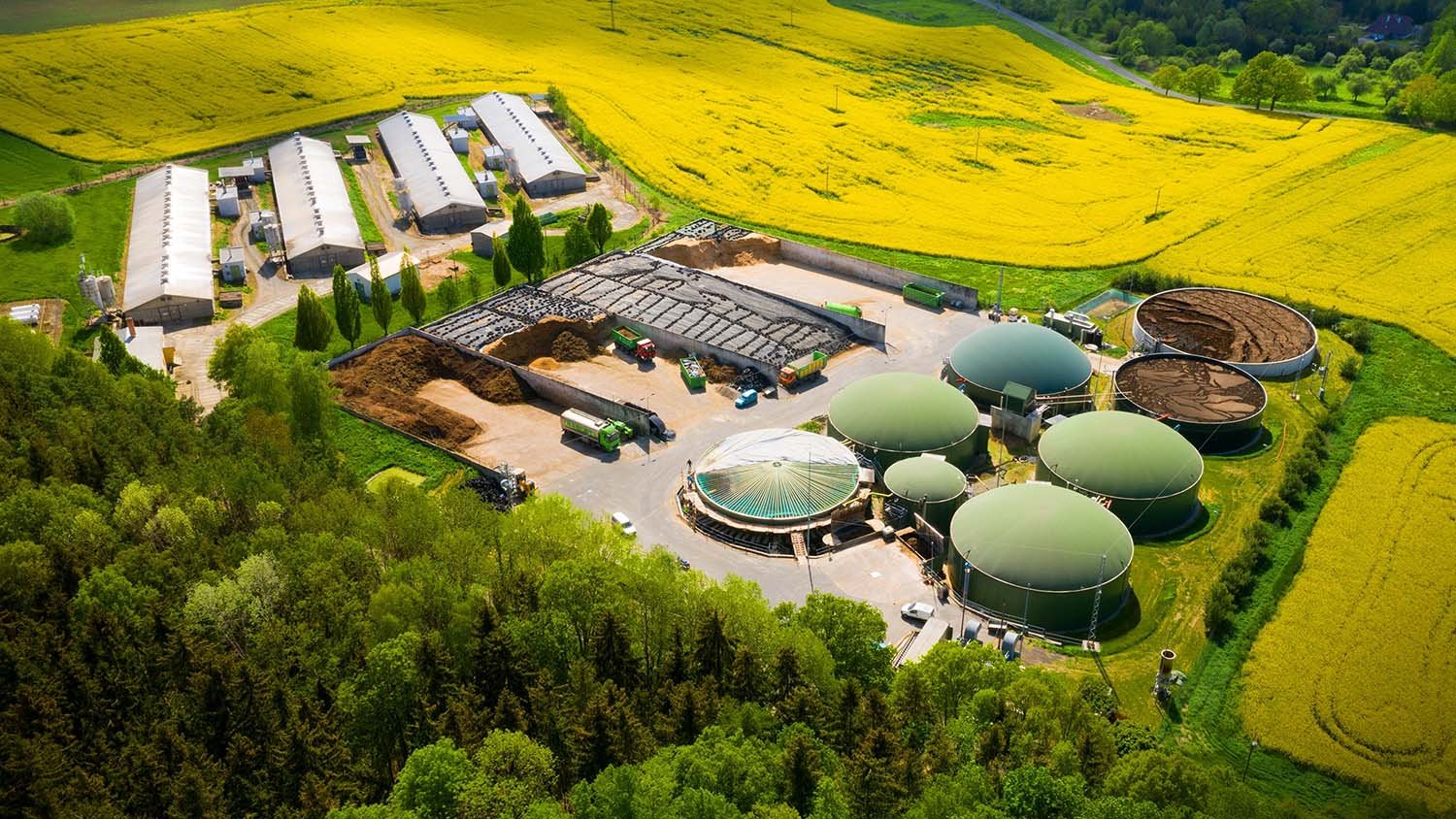 biomass-plant