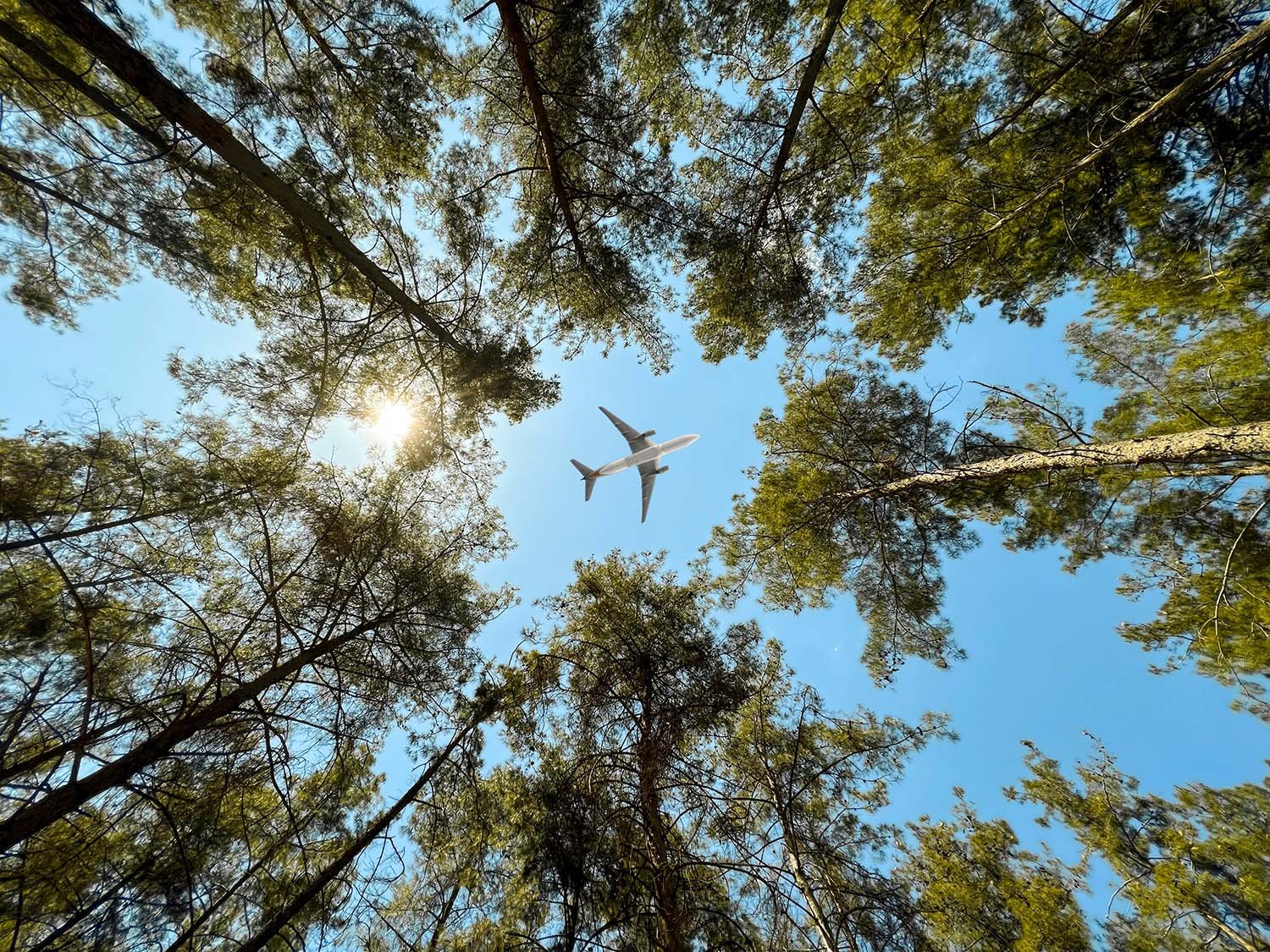 greenfootprint_v02